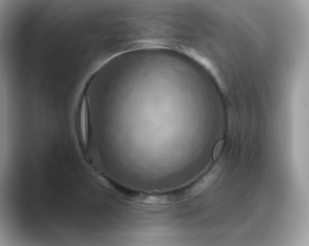 X0000089681365200707051559