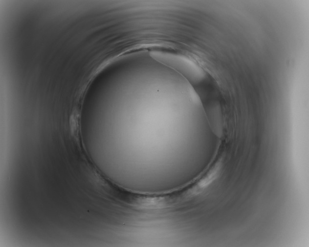 X0000089681369200707051559