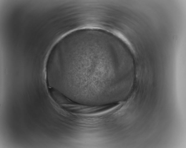 X0000089681372200707051559
