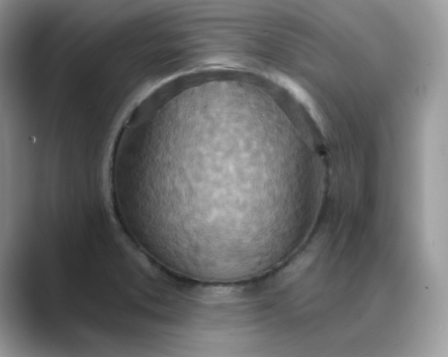X0000089681373200707051559