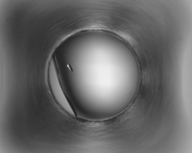 X0000089681374200707051559