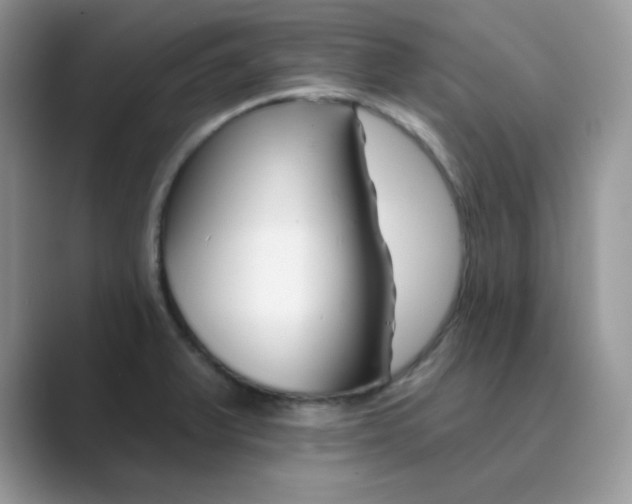 X0000089681375200707051559