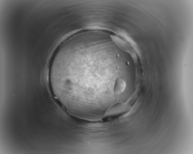 X0000089681376200707051559
