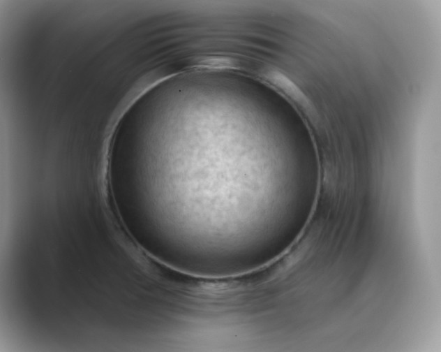 X0000089681378200707051559