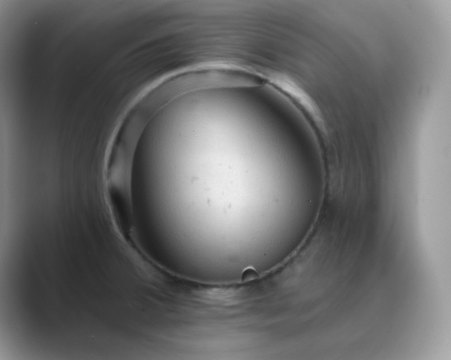 X0000089681380200707051559