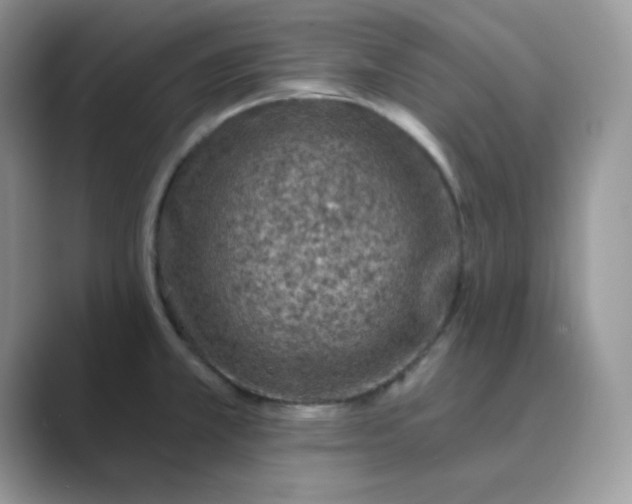 X0000089681381200707051559