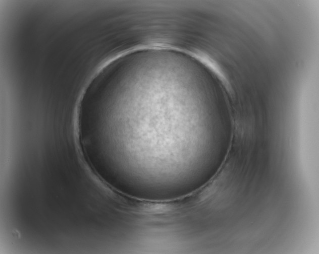 X0000089681382200707051559
