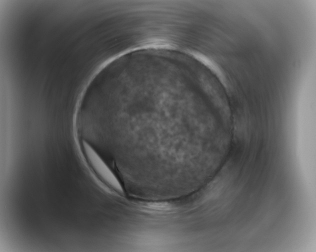 X0000089681383200707051559