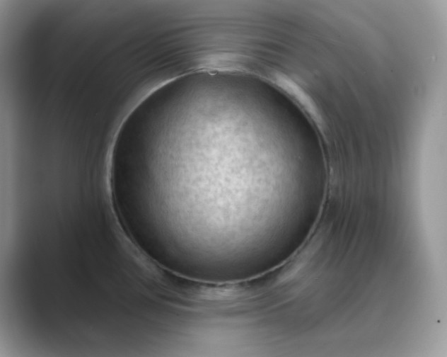 X0000089681386200707051558