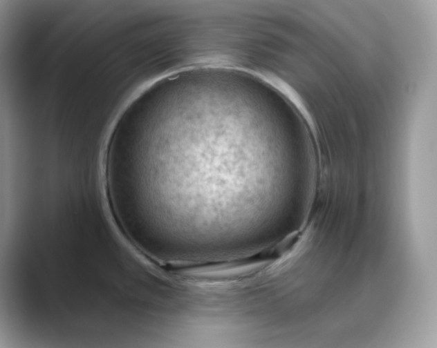 X0000089681389200707051558