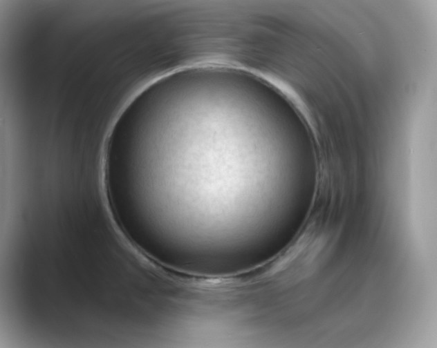 X0000089681390200707051558