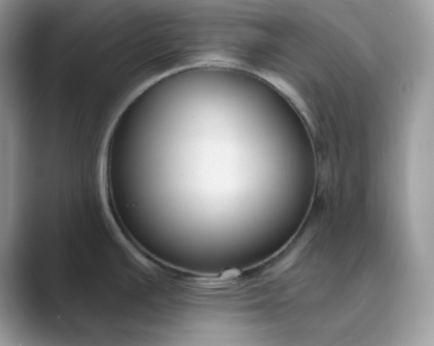 X0000089681391200707051558