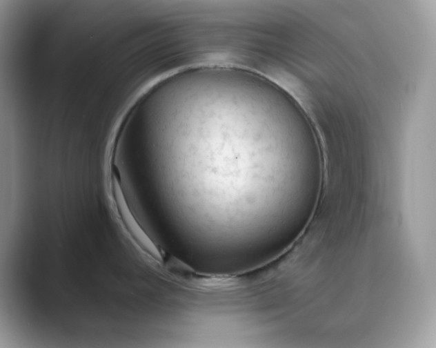 X0000089681392200707051558