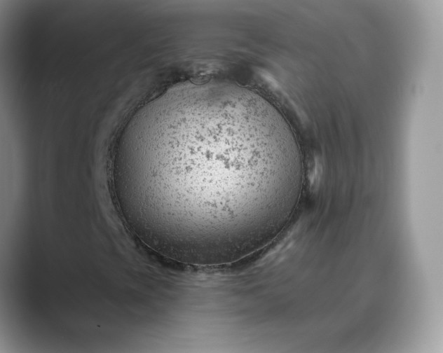 X0000089681393200707051558