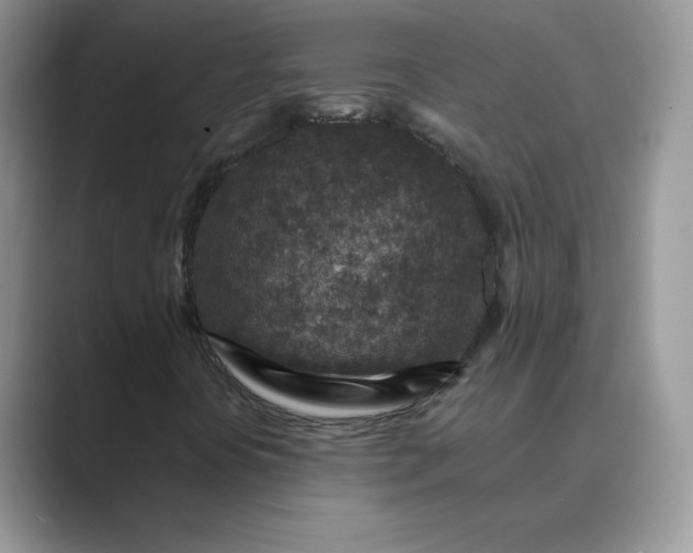 X0000089681394200707051558