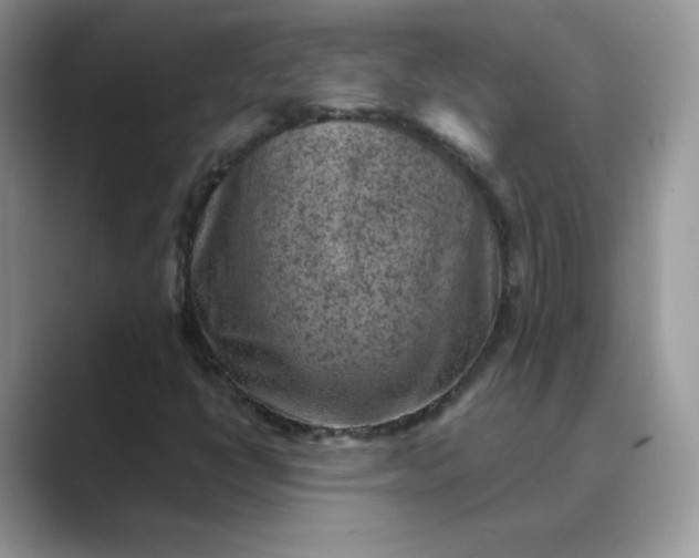 X0000089681398200707051558