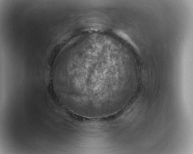 X0000089681399200707051558