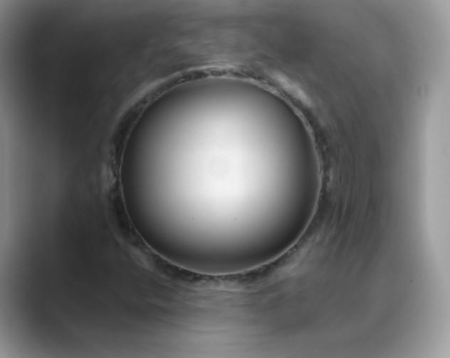 X0000089681400200707051558