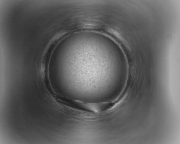 X0000089681402200707051558