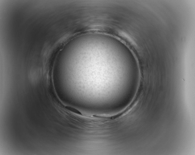 X0000089681403200707051558