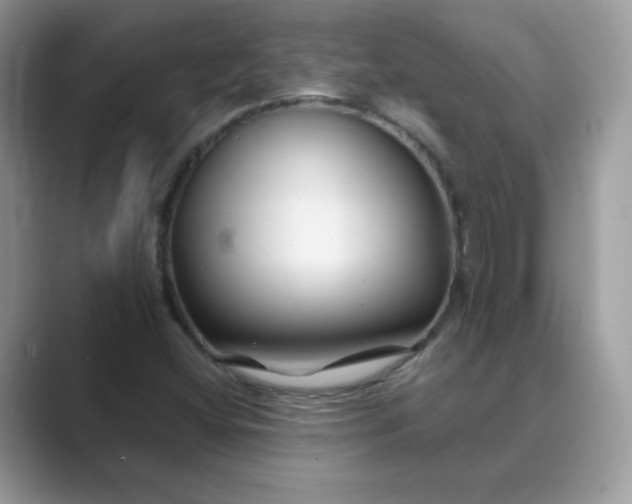 X0000089681404200707051558