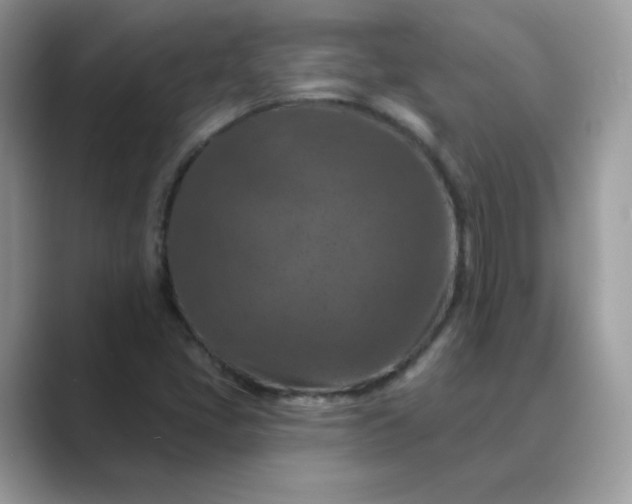 X0000089681405200707051558