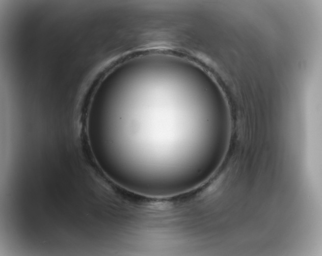 X0000089681406200707051558