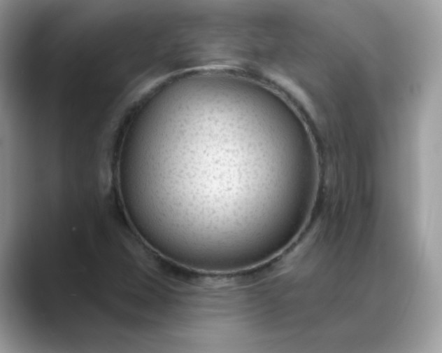 X0000089681407200707051558