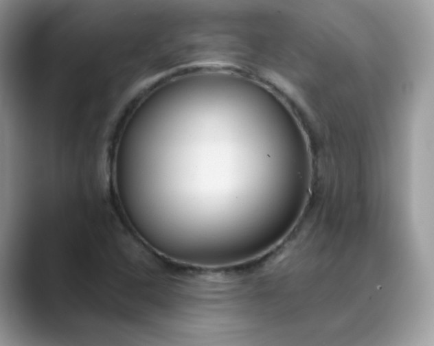 X0000089681408200707051558