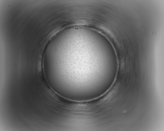 X0000089681409200707051558