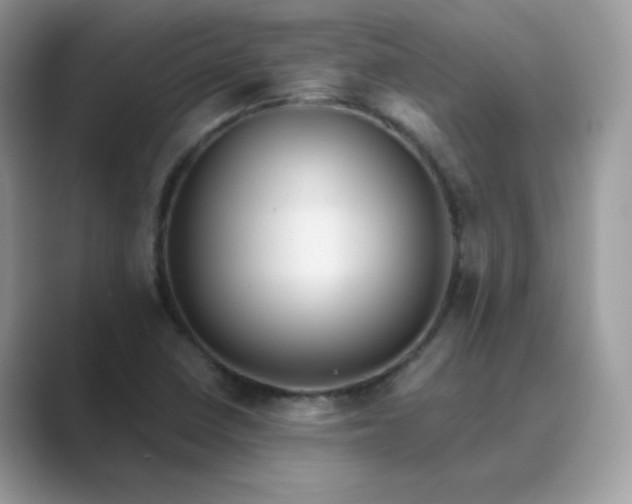 X0000089681410200707051558
