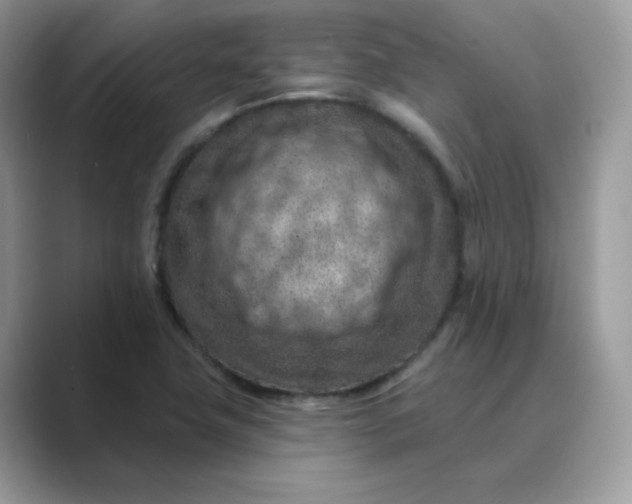 X0000089681411200707051558