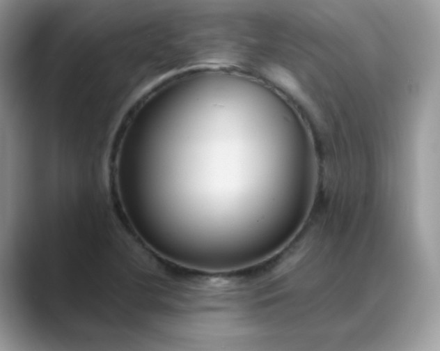X0000089681412200707051558