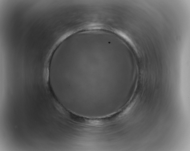 X0000089681413200707051558