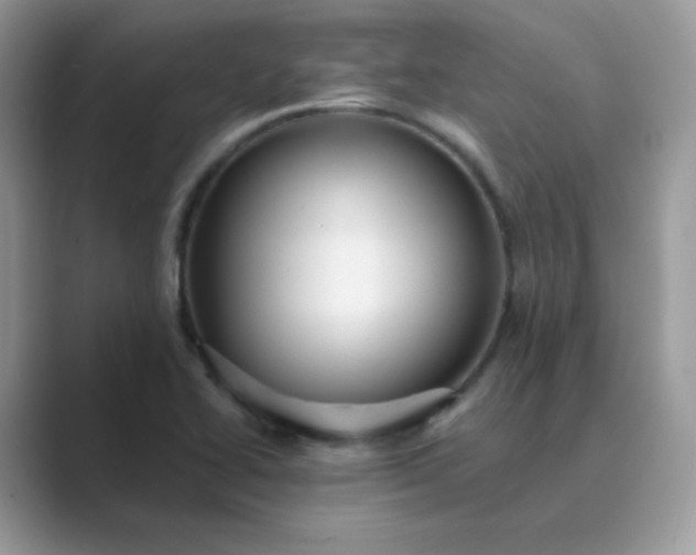 X0000089681414200707051558