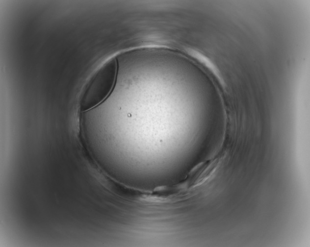 X0000089681415200707051558