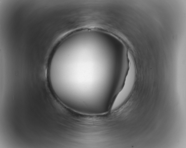 X0000089681416200707051558