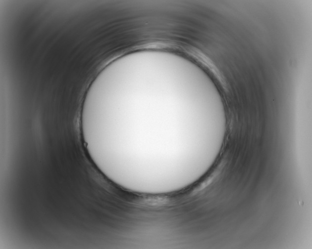 X0000089681417200707051558