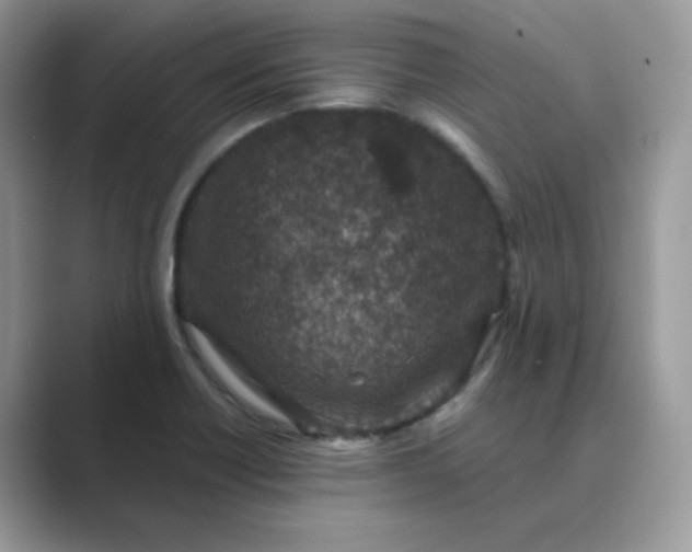 X0000089681418200707051558