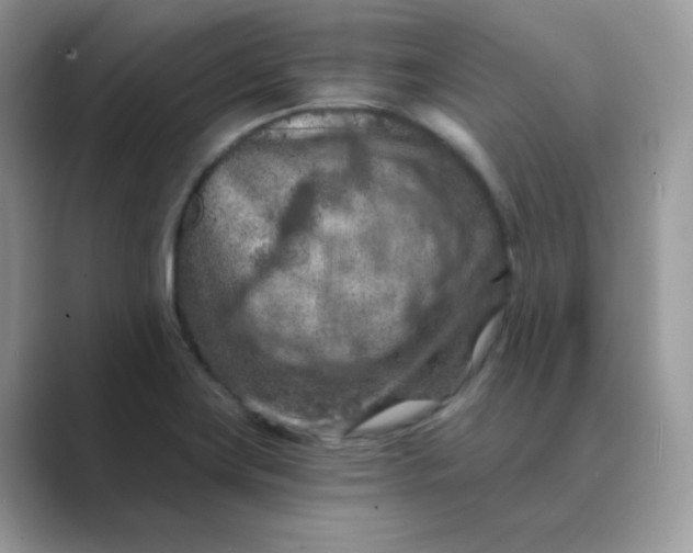 X0000089681419200707051558