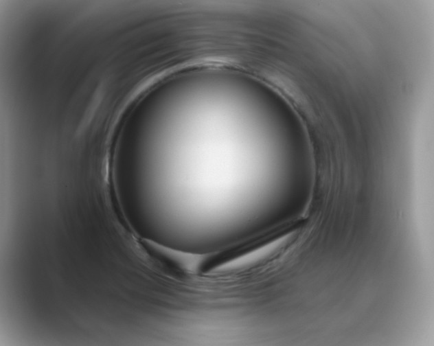 X0000089681420200707051558
