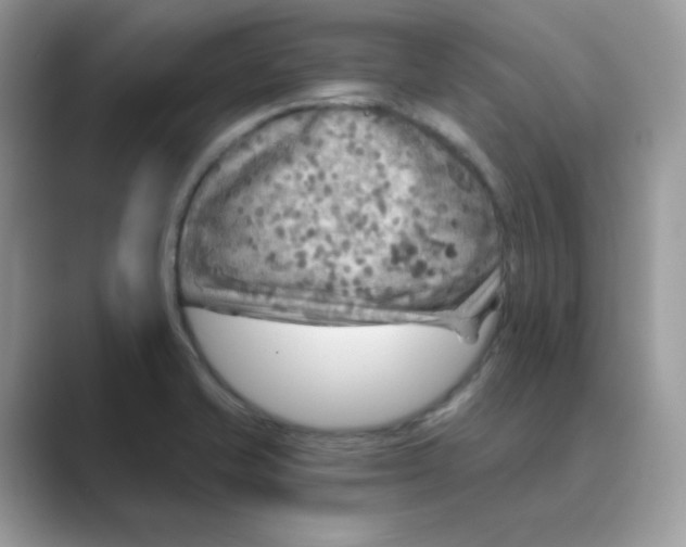 X0000089681421200707051558
