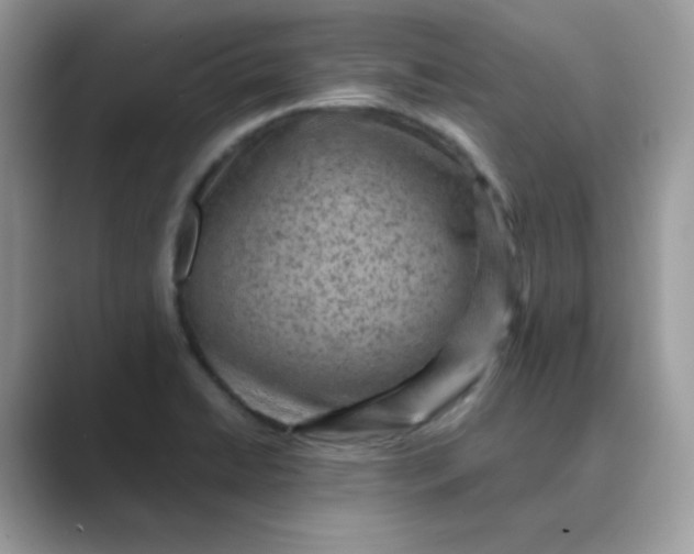 X0000089681422200707051558
