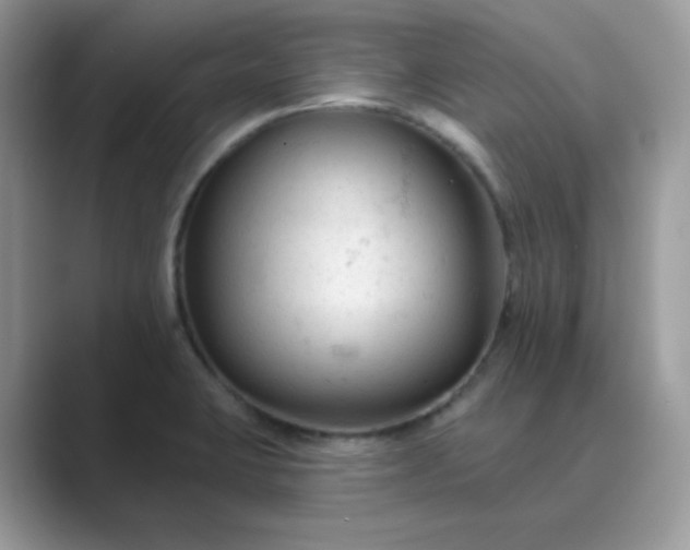 X0000089681423200707051558