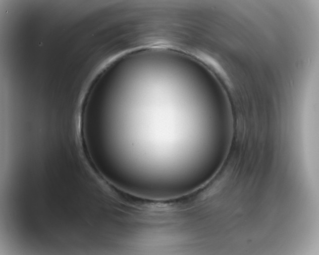 X0000089681424200707051558
