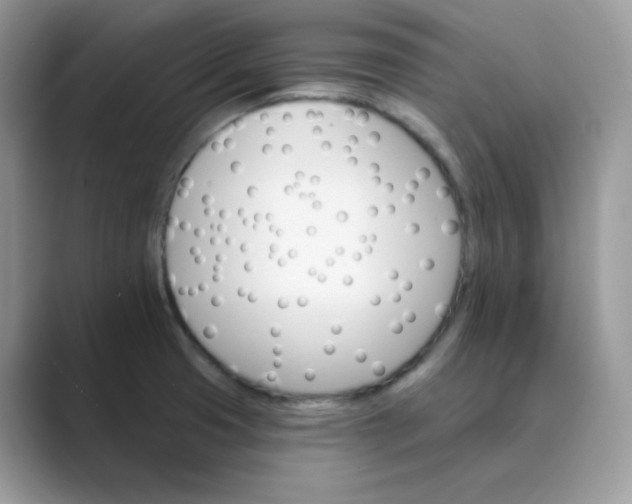 X0000089681425200707051558