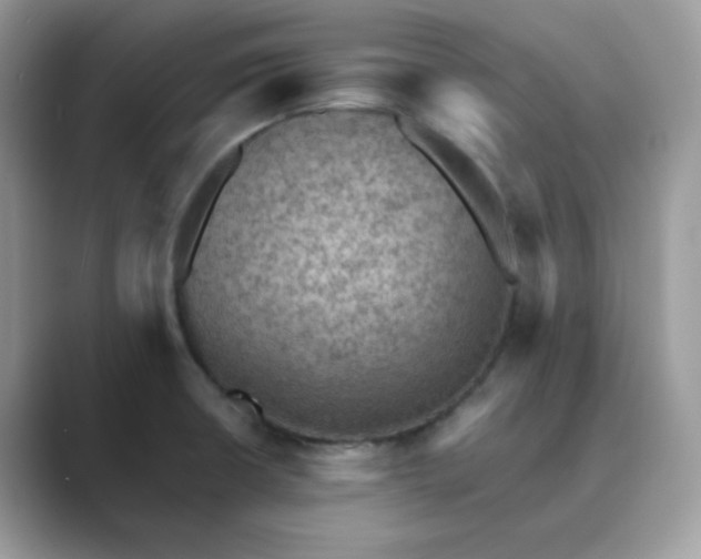 X0000089681426200707051558