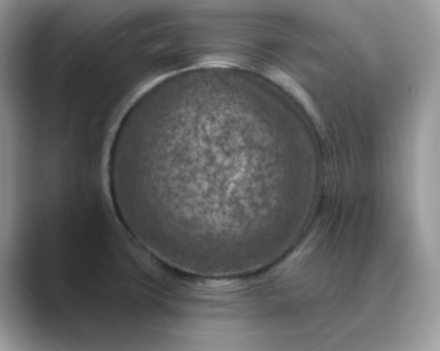 X0000089681427200707051558