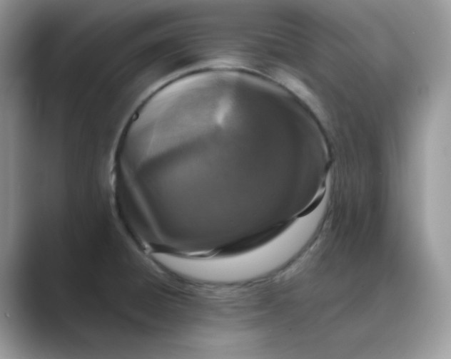 X0000089681428200707051558