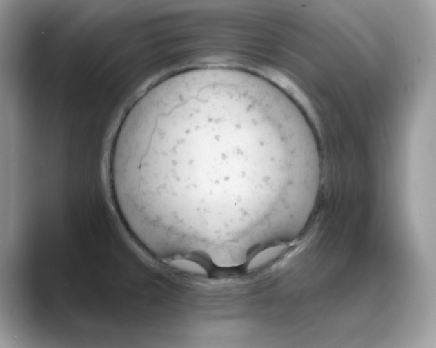 X0000089681429200707051558